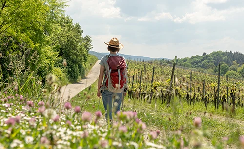 Wandern im Fruhling und Sommerzeit