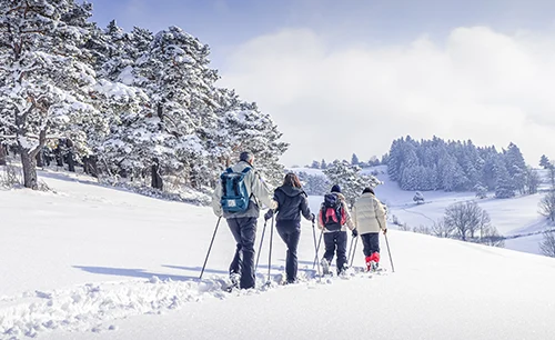Winterwandern und Schneeschuhwandern