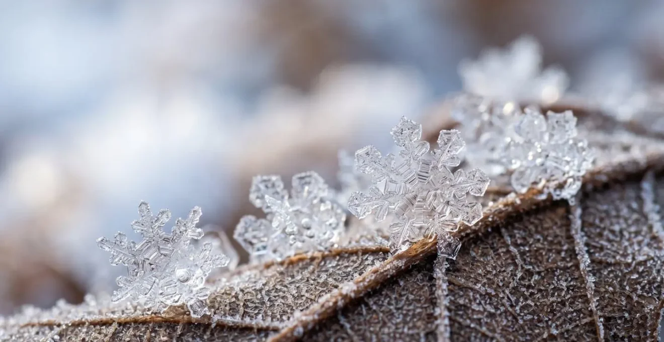 Abstrakte Darstellung von Immunzellen durch gefrorene Wassertropfen mit Eiskristallen