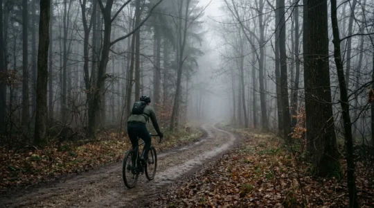 Radfahrer im nebligen November-Wald, von hinten fotografiert, natürliches Licht durchbricht den Nebel