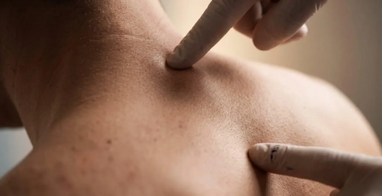Makroaufnahme der anatomischen Messpunkte für die Rückenlänge an der menschlichen Wirbelsäule